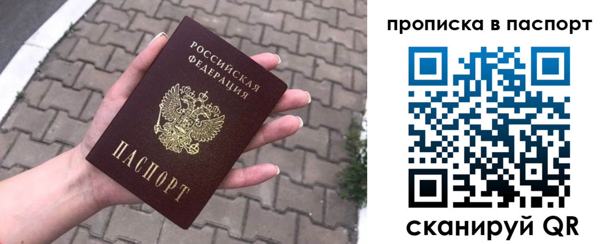 прописка поиск в Новороссийске