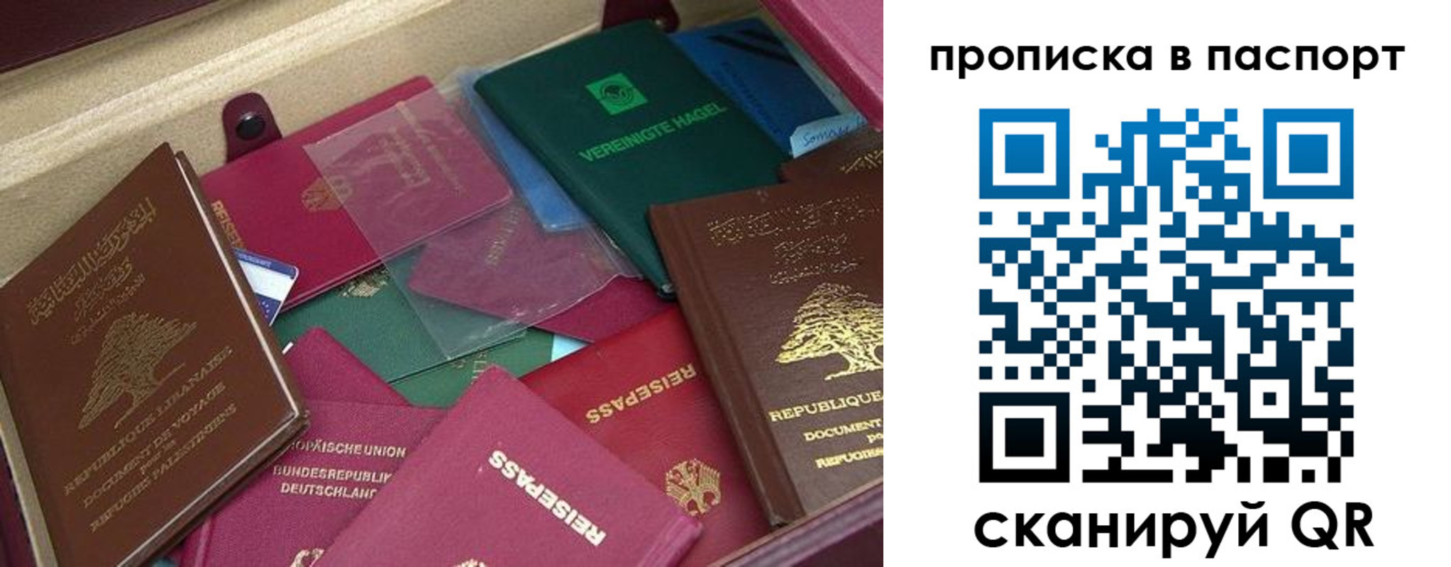 временная регистрация для школы в Новороссийске